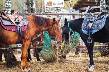 Łomża Worek na siano — praktyczny i wytrzymały pasznik dla koni Sklep Łomża